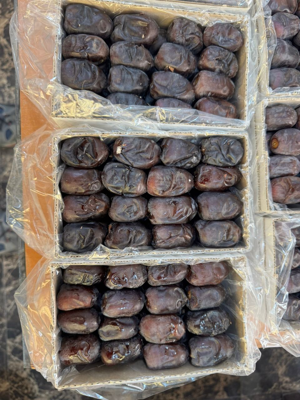 فروش مستقیم خرما مضافتی از کشاورز