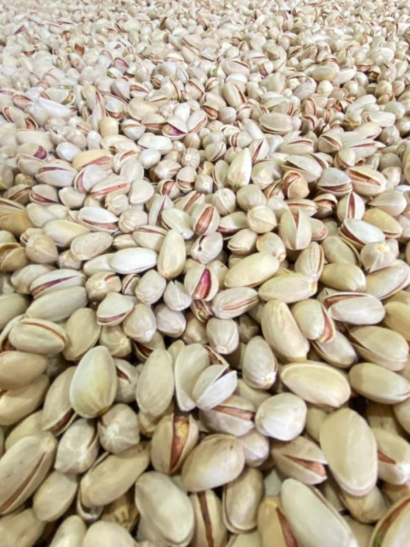 تصویر 3 از خرید پسته اکبری صادراتی عمده با بهترین قیمت