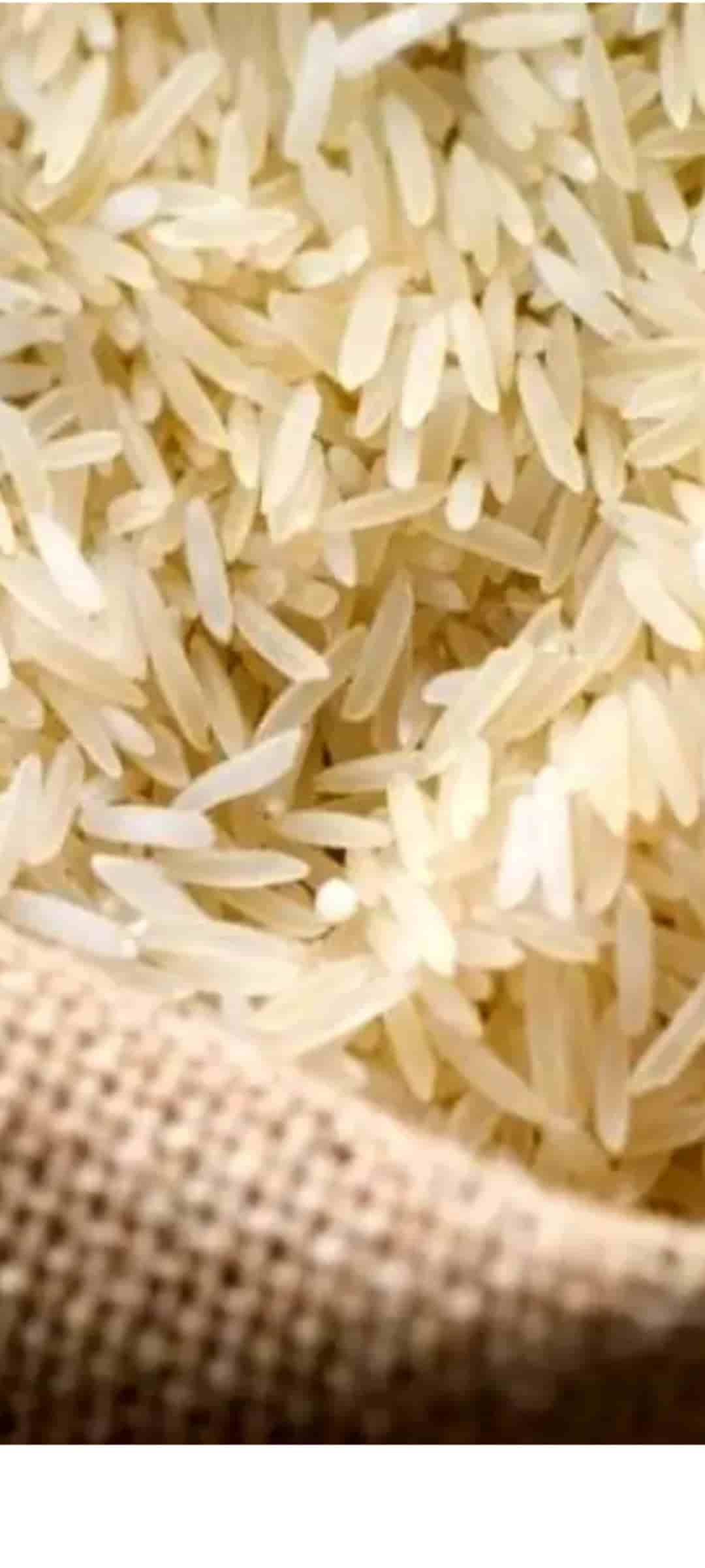 تصویر 5 از قیمت برنج ۱۱۲۱ هندی  احمد صادق