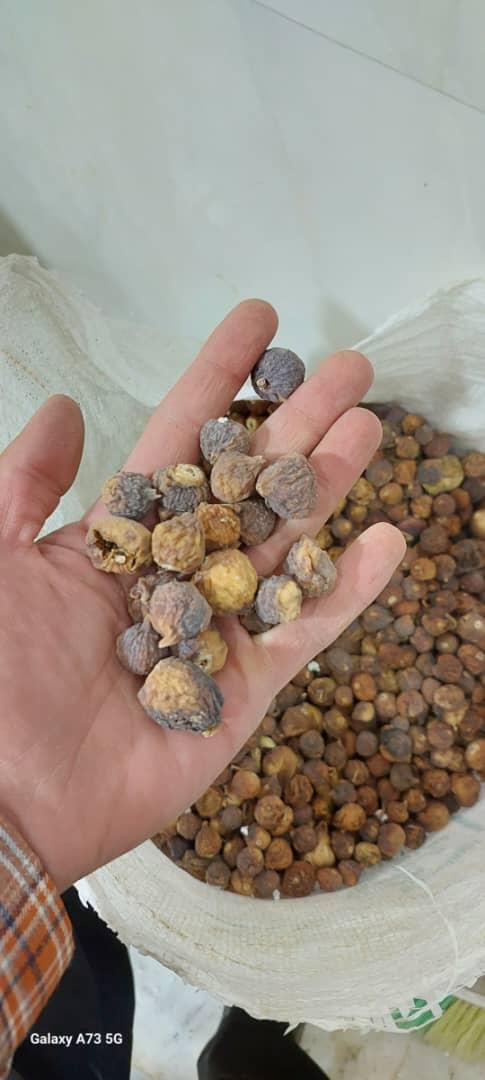 خرید و فروش انجیر خشک ضایعاتی مهر ماه 1۴۰۴ + قیمت فروش