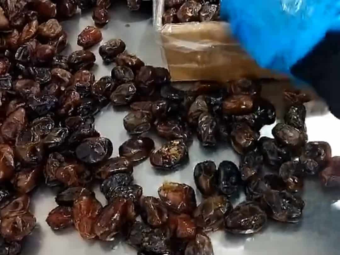 تصویر 4 از خرما دمباز + خرید عمده