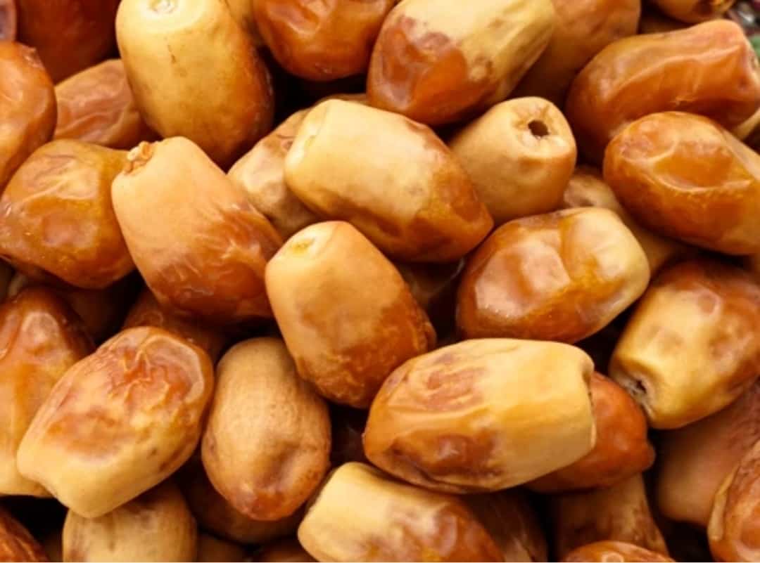 قیمت خرما دمباز