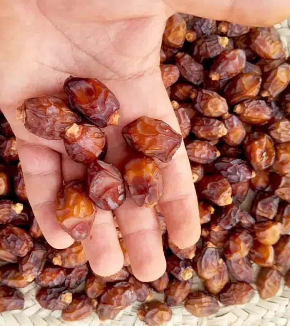 تصویر 1 از خرما بریم + قیمت عمده