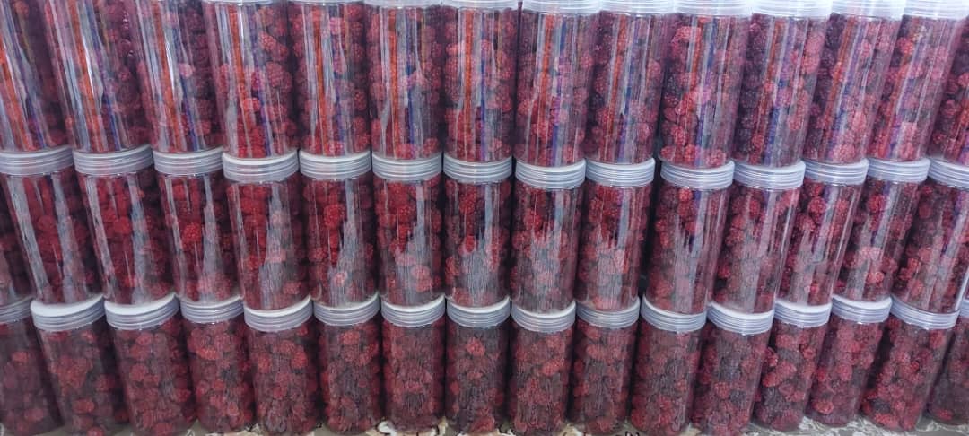 تصویر 3 از قیمت عمده میوه خشک انجمادی + کیفیت صادراتی