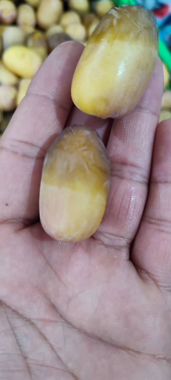 تصویر 1 از قیمت رطب بریم آبادان