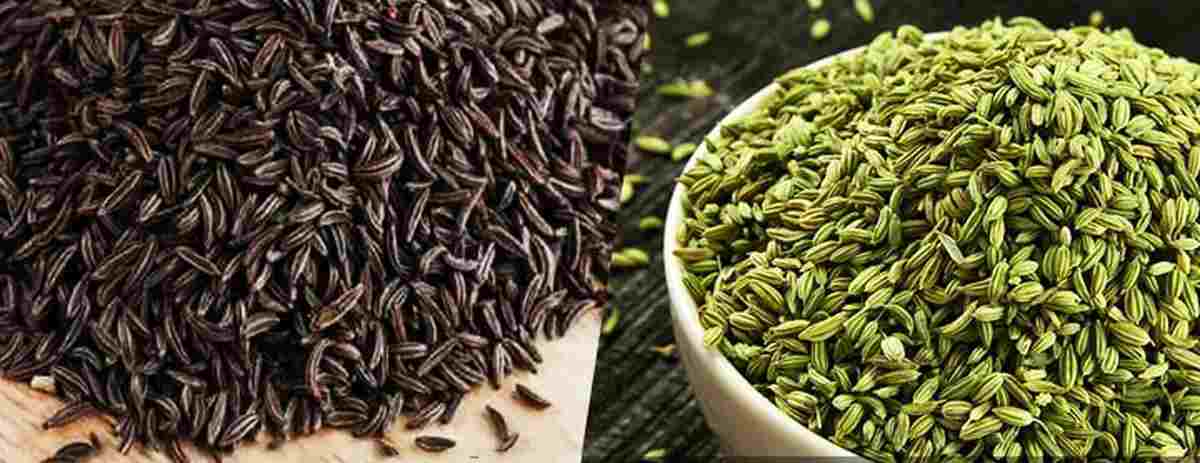 فروش عمده زیره سبز و سیاه صادراتی با قیمت روز