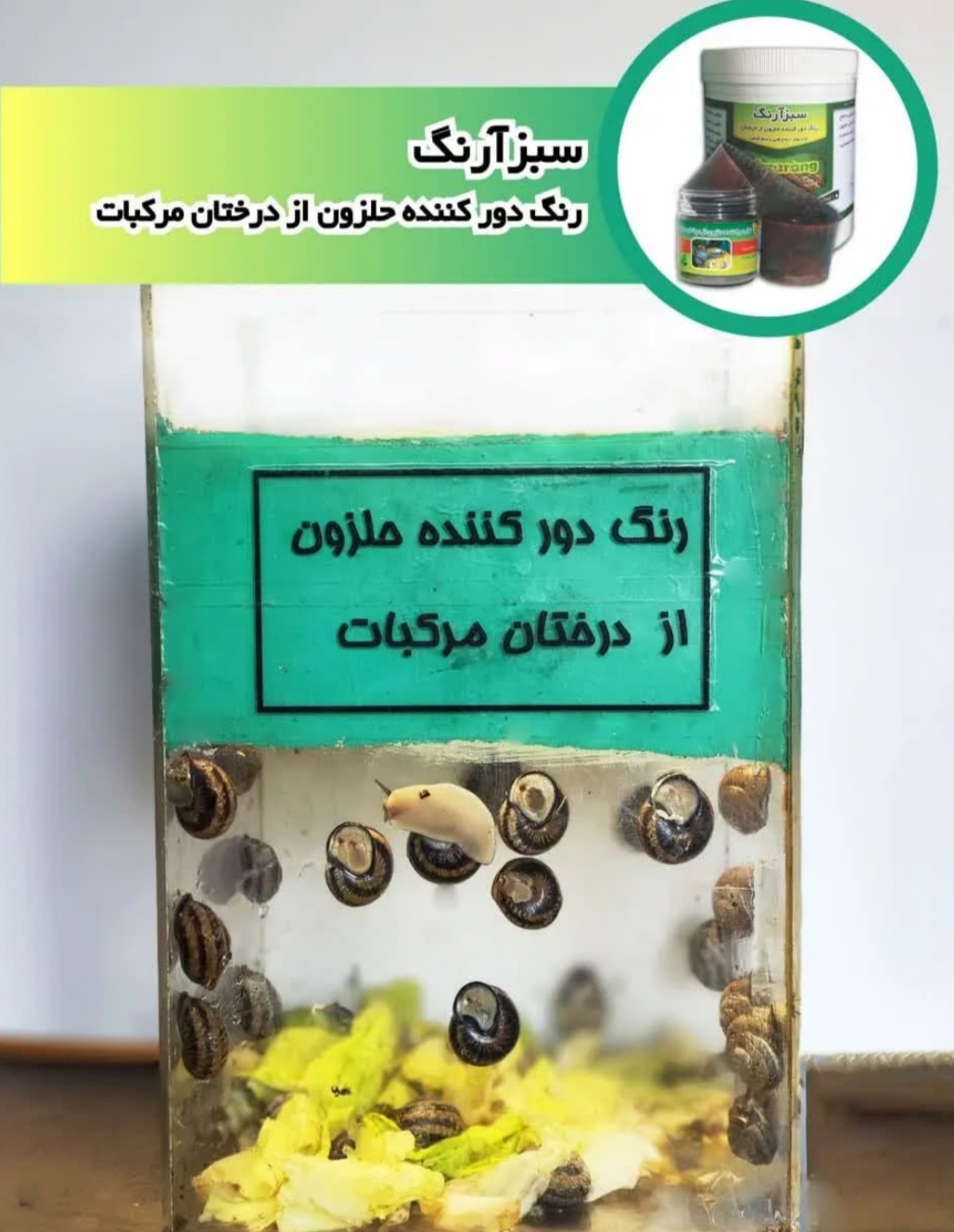 تصویر 1 از خرید رنگ دورکننده حلزون از درختان