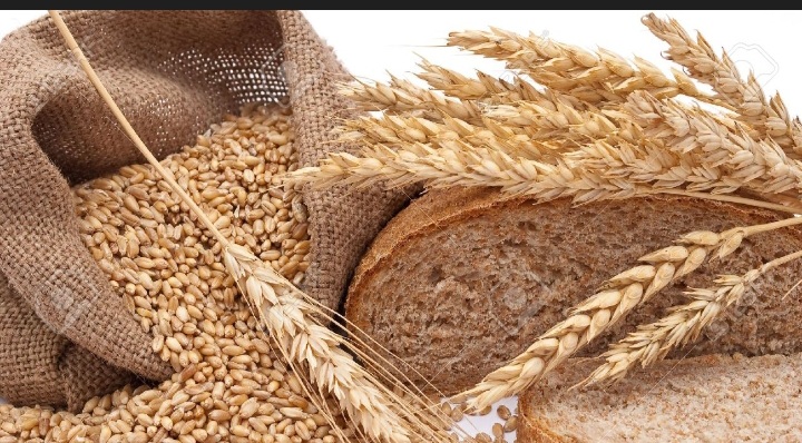 فروش گندم پوست کنده مخصوص حلیم + قیمت مناسب و ارزان