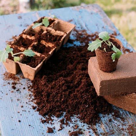تصویر 2 از فروش عمده کوکوپیت و پیت ماس خرید بدون واسطه