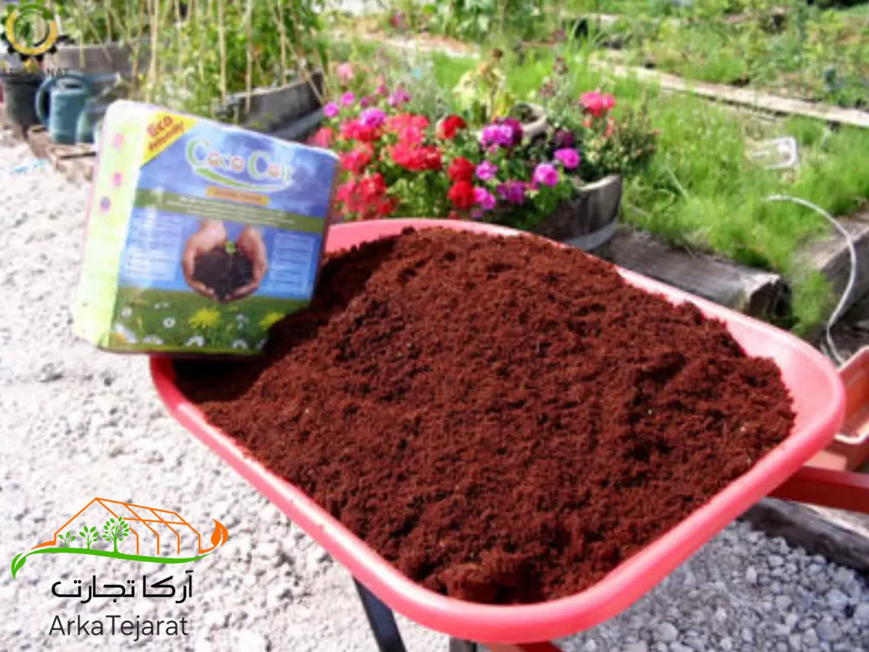 تصویر 3 از قیمت کوکوپیت سریلانکایی خریدی مطمئن و بی واسطه