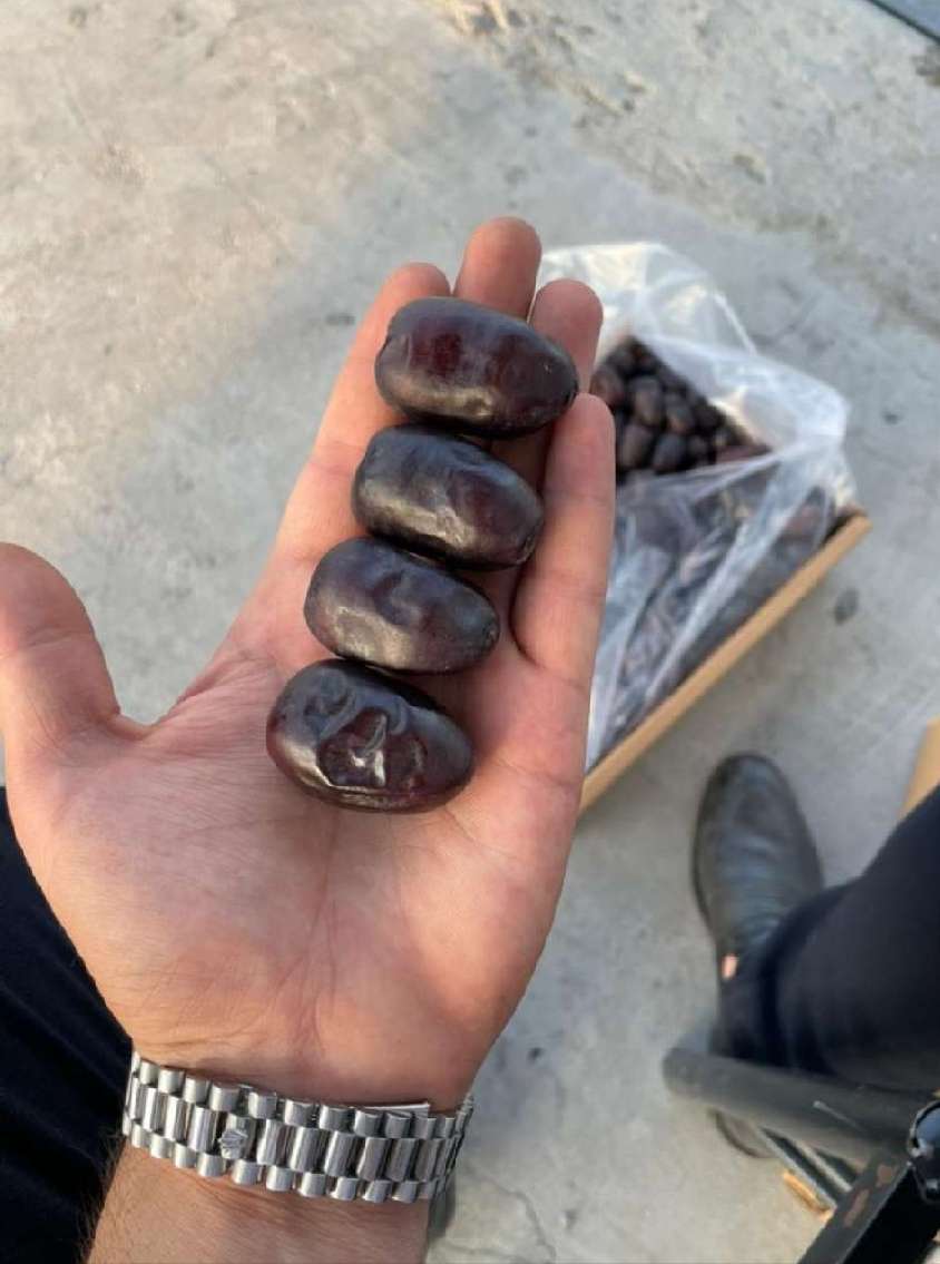 تصویر 3 از خرید و فروش عمده خرما مضافتی