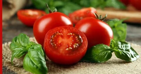 تصویر 1 از گوجه بروبیا ارزان