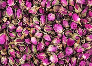تصویر 1 از قیمت خرید پر گل مرغوب فروش عمده