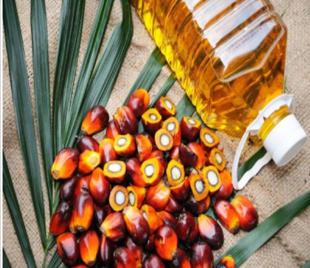 تصویر 4 از خرید و قیمت روغن هسته خرما فروش عمده