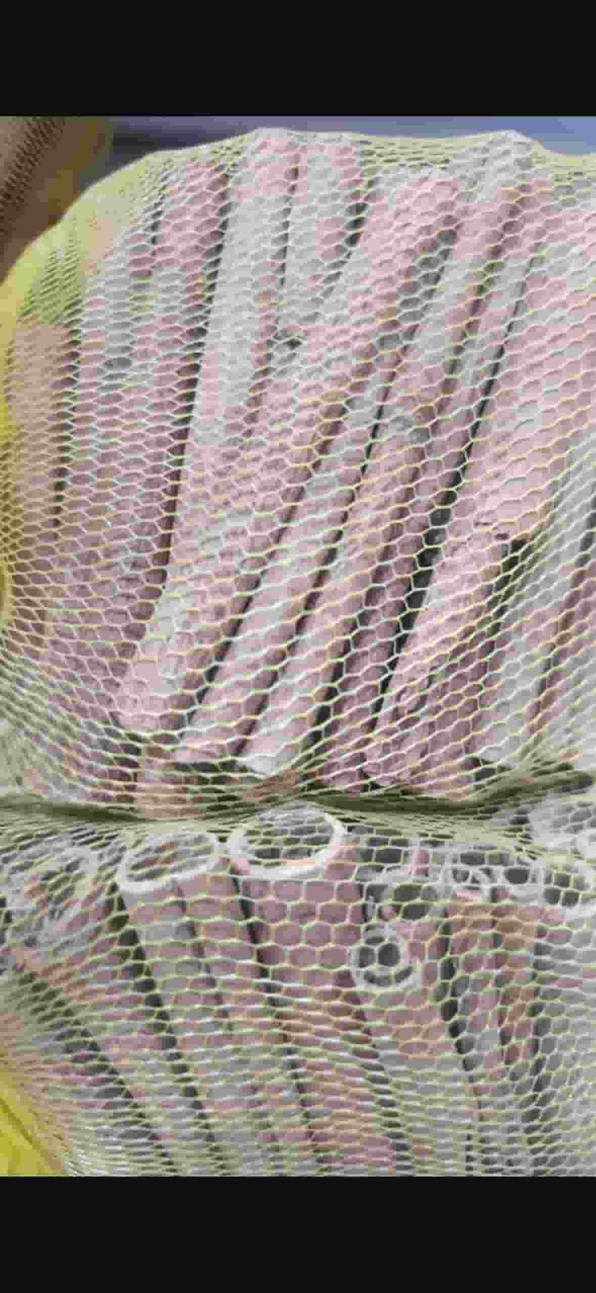 تصویر 1 از دارچین قلمی یا سیگاری