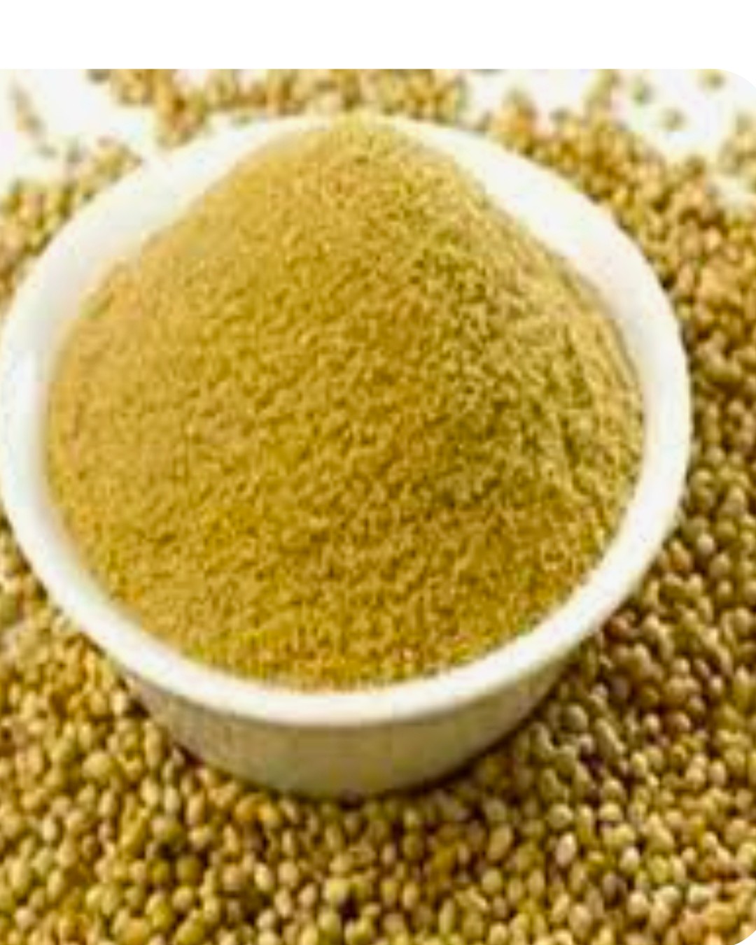 خرید بسته های بذر و پودر گشنیز به صرفه با نرخ عالی
