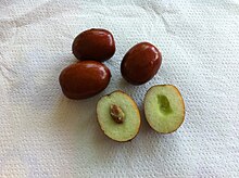 تصویر 1 از عناب بیرجند + فروش عمده