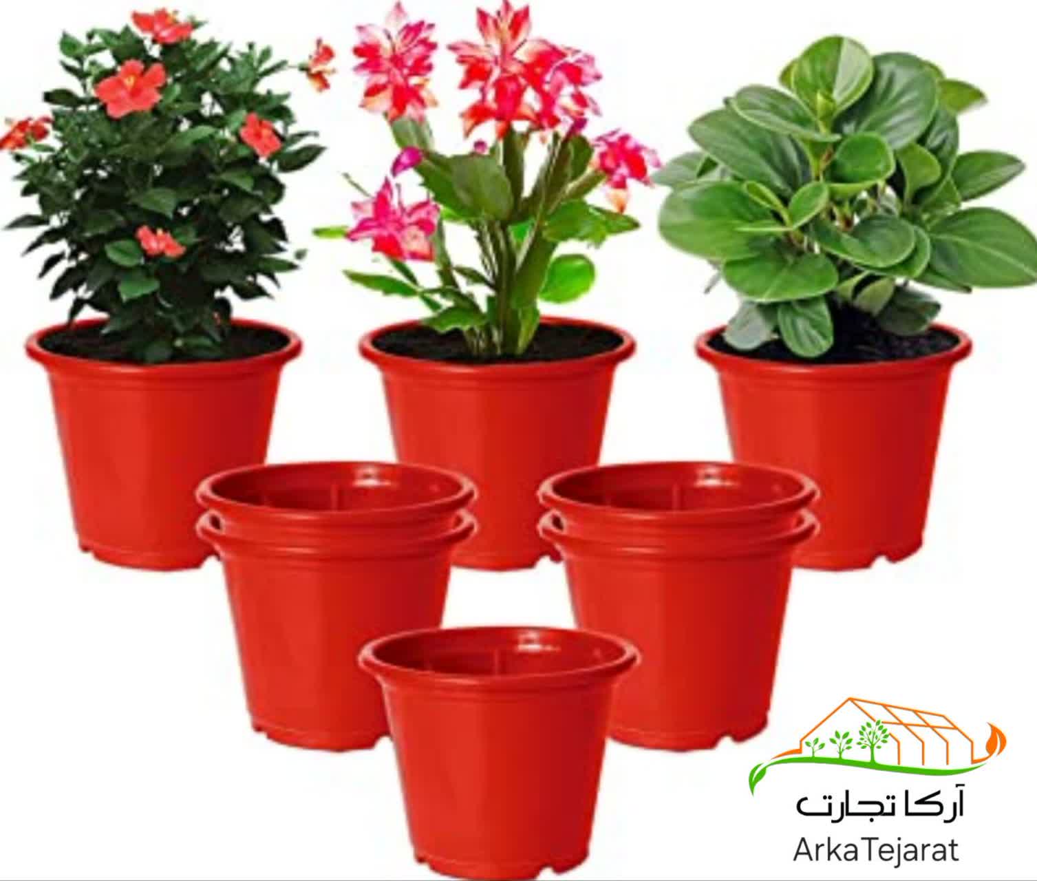 تصویر 2 از فروش اینترنتی گلدان پلاستیکی رنگی + تضمین کیفیت