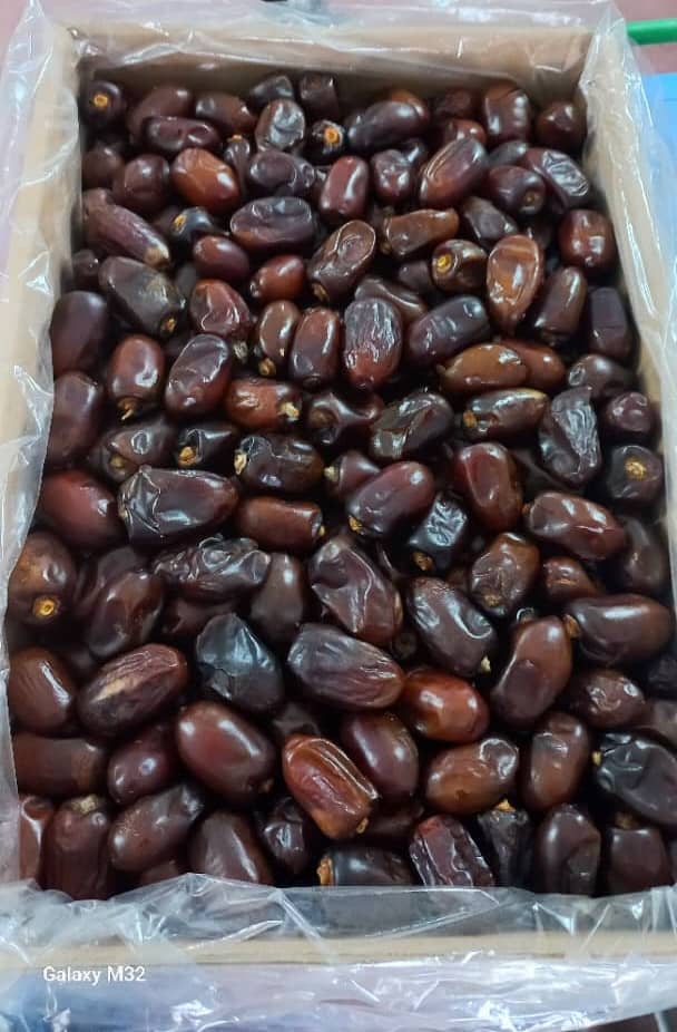 تصویر 1 از خرید خرمای کلوته با قیمت استثنایی