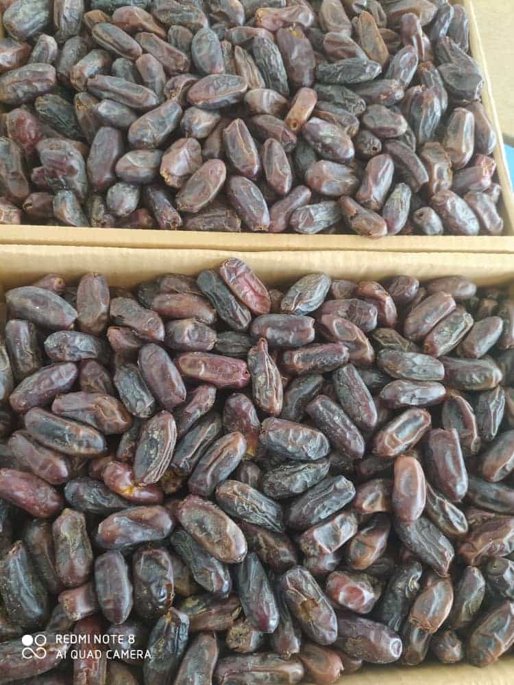 تصویر 4 از قیمت عمده خرما ربی