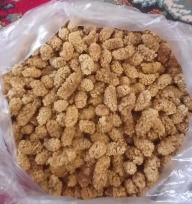 تصویر 2 از قیمت توت خشک مرغوب