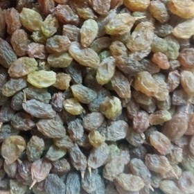 تصویر 2 از فروش‌ کشمش سایه خشک‌ ملایر با کیفیت و ارزان + خرید باورنکردنی
