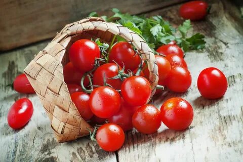 تصویر 1 از فروش عمده و ارزان گوجه گیلاسی