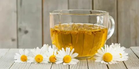 صادرات دمنوش بابونه به عمان
