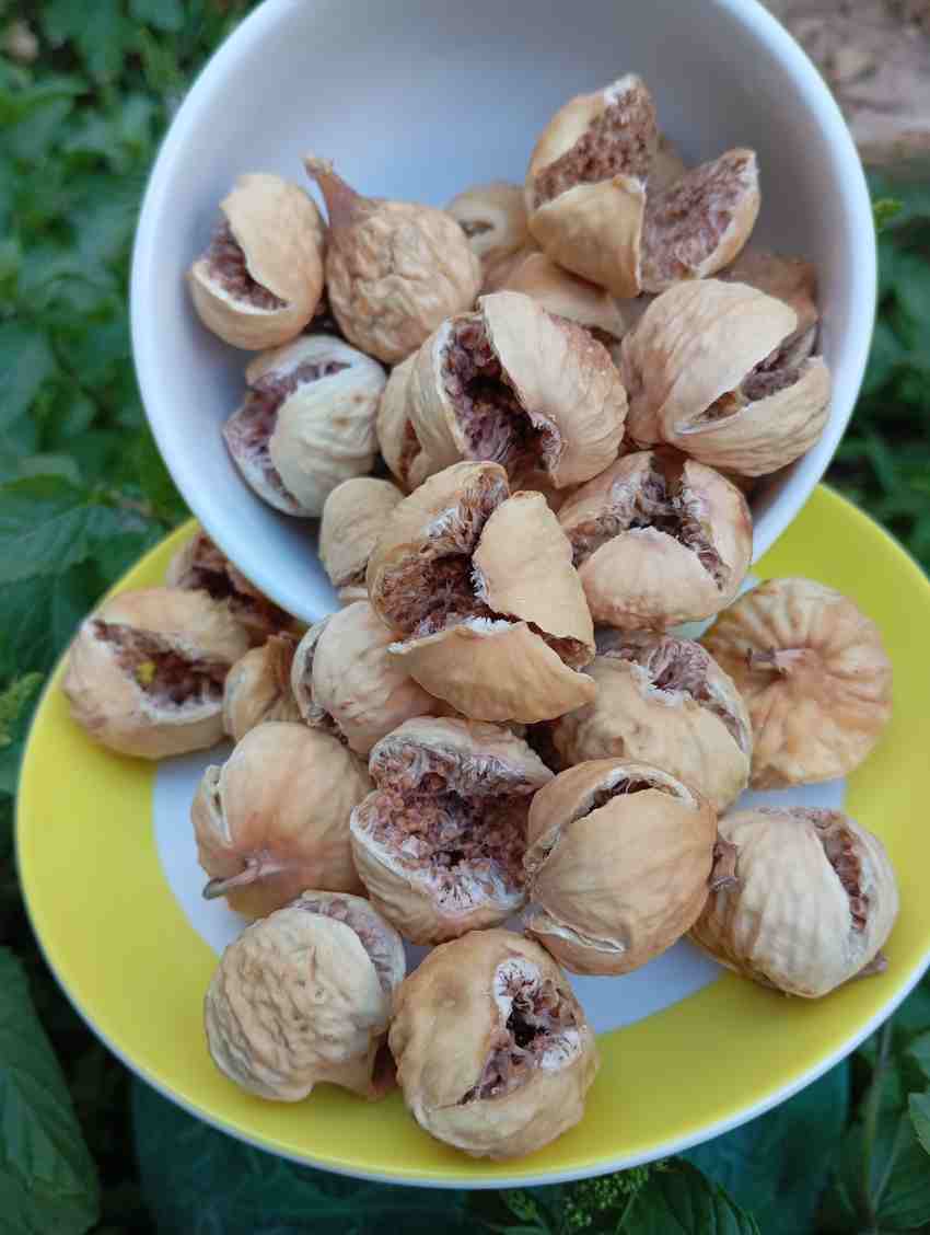 تصویر 2 از صادرات انجیر خشک ممتاز به سراسر جهان