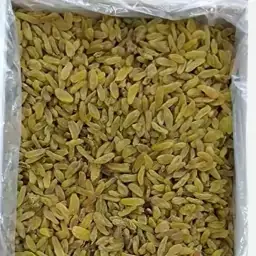 تصویر 1 از کشمش سبز قلمی + خرید عمده