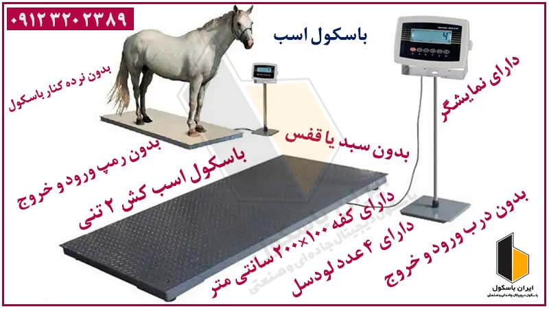 تصویر 2 از باسکول اسب کش دیجیتال با رمپ ورودی و نمایشگر بزرگ