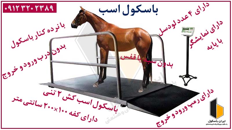 تصویر 1 از باسکول دام کش گاو رمپ دار دقت ۵۰۰ گرم