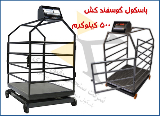 تصویر 1 از باسکول دام کش دیجیتال جدید با دقت ۱۰۰ گرم