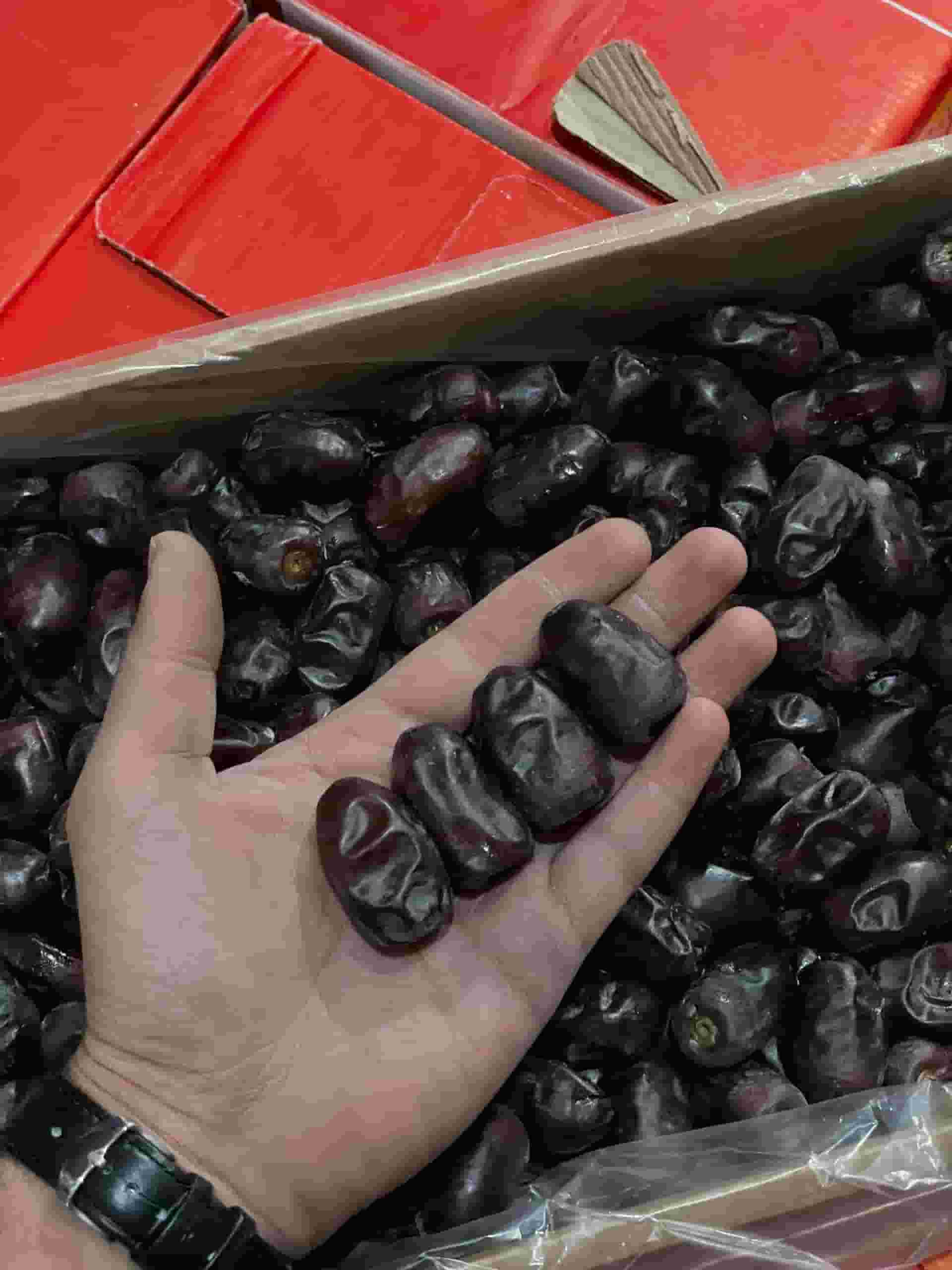 تصویر 4 از خرما مضافتی دماوند با طعمی ملایم و بافتی نرم
