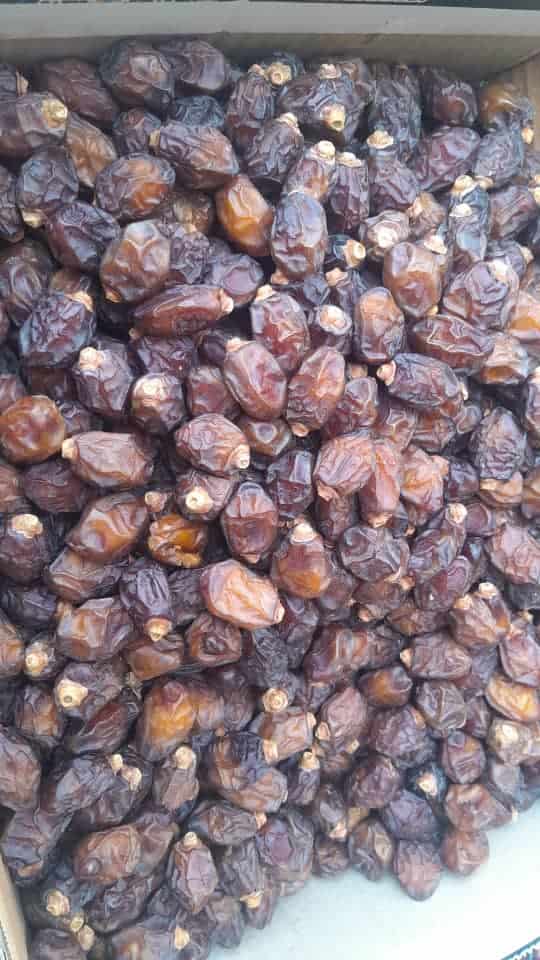 تصویر 1 از خرید و فروش خرما خاصویی ریزه صادراتی