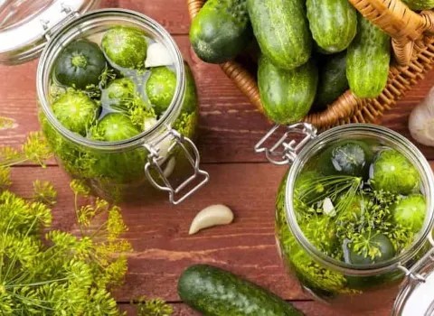 قیمت خیارشور نول نمکی