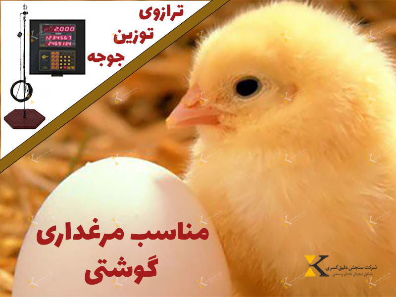 مقایسه عملکرد گله با استانداردهای دامپزشکی در لحظه
