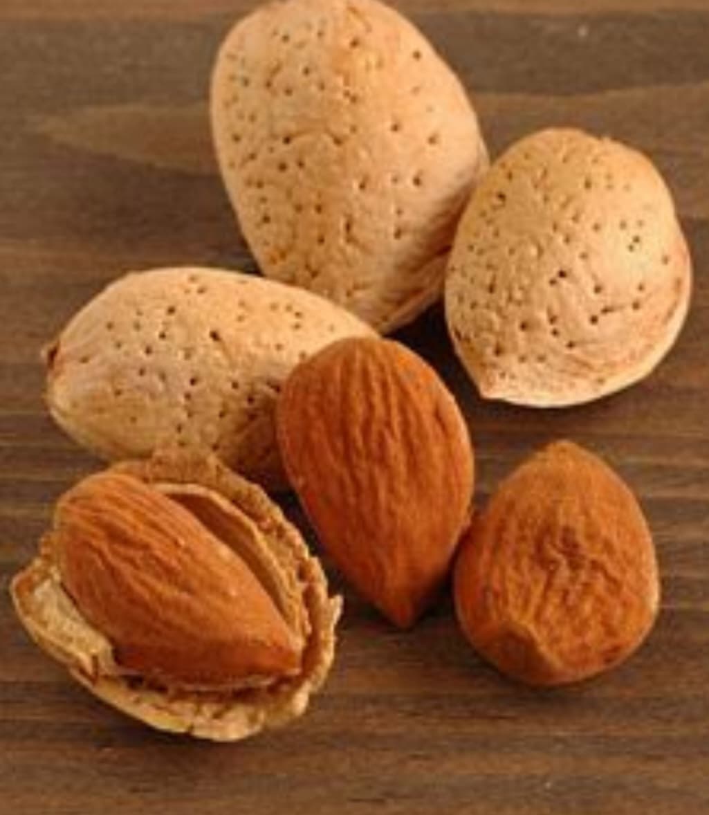 تصویر 2 از خرید و فروش عمده مغز بادام درختی مرغوب