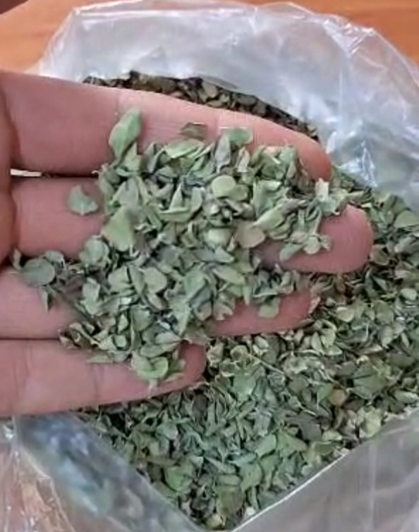 تصویر 1 از فروش آویشن پهن برگ کوهی شیرازی