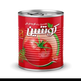 قیمت به‌ روز رب گوجه کوشین در بازار ایران