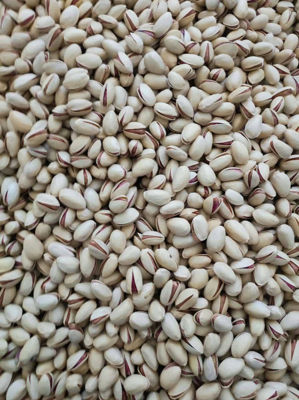 تصویر 3 از قیمت پسته احمد آقایی با کیفیت ارزان + خرید عمده