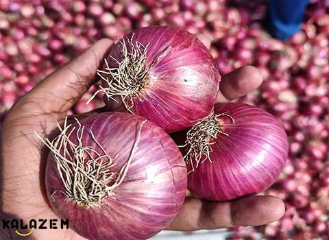 تصویر 4 از خرید و فروش پیاز قرمز + قیمت مناسب و فوق العاده