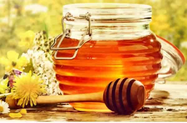 تصویر 2 از قیمت خرید بهترین و باصرفه ترین عسل آویشن ایران