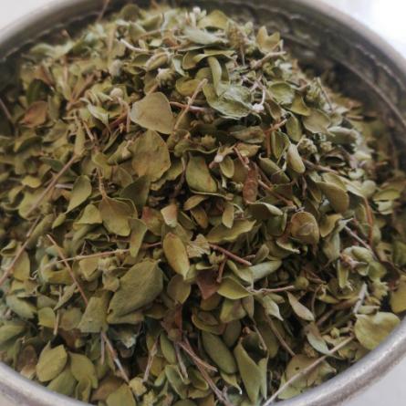 تصویر 2 از آویشن شیرازی برگ پهن + فروش عمده