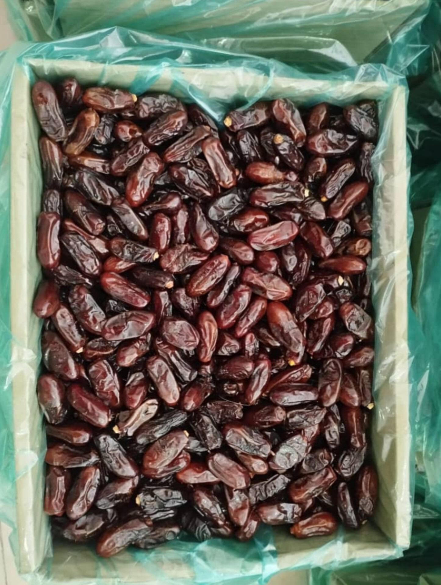 خرمای استعمران درجه یک صادراتی شادگان + قیمت به صرفه
