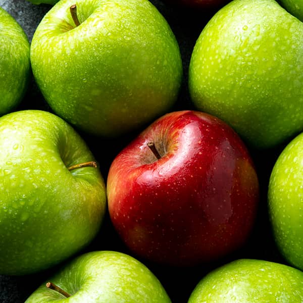 تصویر 4 از خرید سیب درختی برای عمان