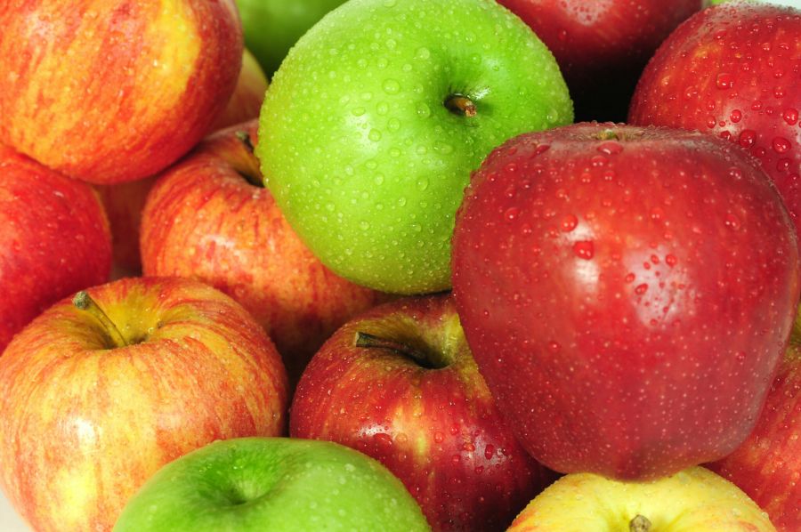 قیمت سیب صادراتی + خرید عمده