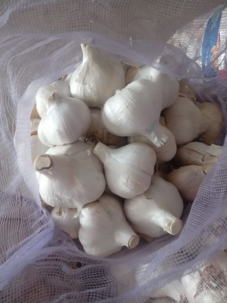 تصویر 1 از قیمت اسلایس موسیر کوهی