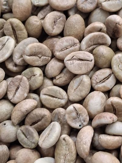 تصویر 1 از خرید دانه سبز قهوه چری AA