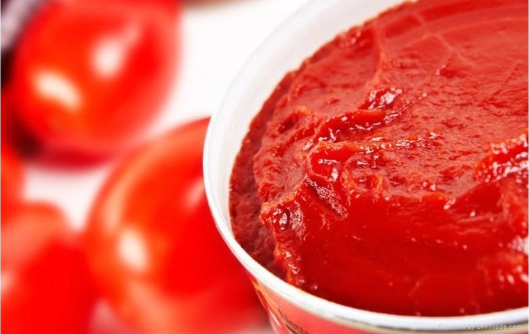 تصویر 1 از رب گوجه 500 گرمی اسکیوتک شیراز